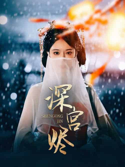 深宫烬（52集全）李木扬＆辛宛柔-搜外项目网
