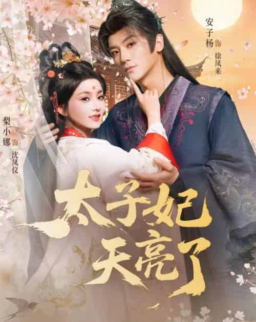 太子妃天亮了（80集全）安子杨＆梨小娜-搜外项目网