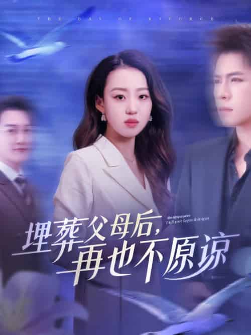 埋葬父母后再也不原谅（82集全）杨彦光＆赵英男-搜外项目网