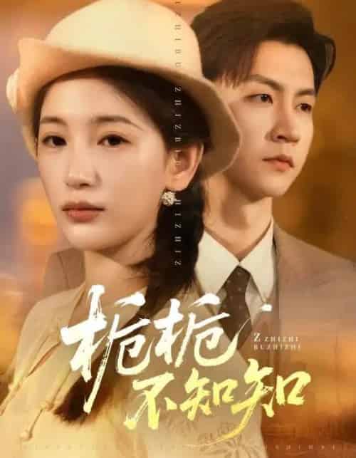 栀栀不知知（61集全）李雪莹＆王鹏-搜外项目网