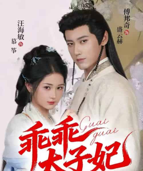 乖乖太子妃（64集全）傅邦奇＆汪海敏-搜外项目网