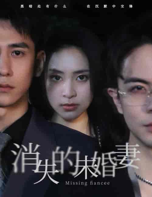消失的未婚妻（82集）蹇代莉-搜外项目网
