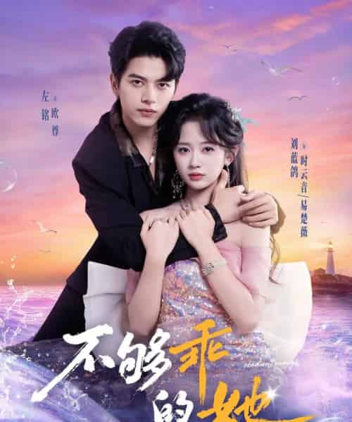 不够乖的她(80集全)左铭&刘蓝鸽-搜外项目网