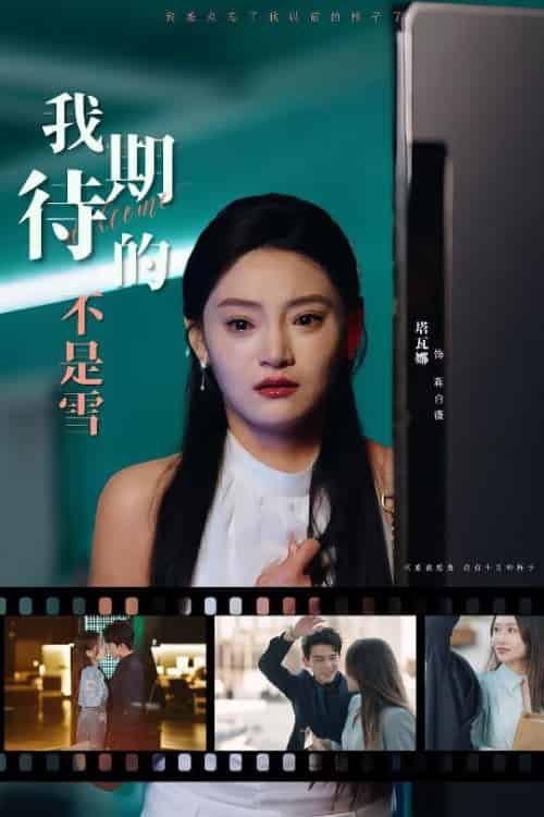我期待的不是雪(30集全)塔瓦娜-搜外项目网