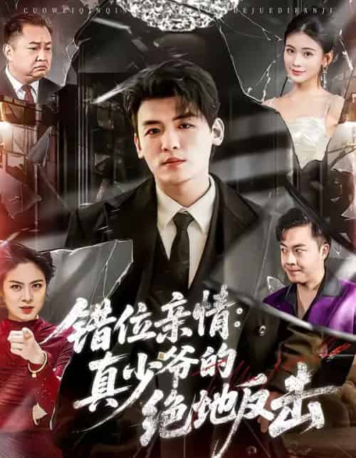 错位亲情：真少爷的绝地反击（70集全）李源＆陈嘉诺-搜外项目网