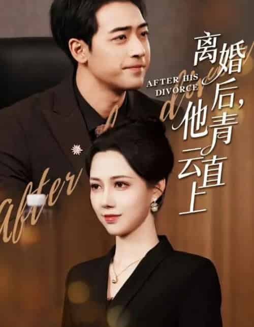 离婚后，他青云直上（50集全）王静＆肖琪峰-搜外项目网