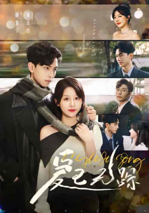 爱已无踪（35集全）陆明非＆谢安然-搜外项目网