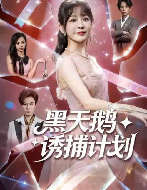 黑天鹅诱捕计划(81集全)林筱艾&祁木-搜外项目网