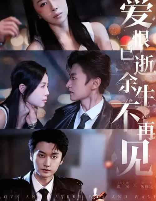 爱恨已逝,余生不再见(68集全)珑一&丁七七-搜外项目网