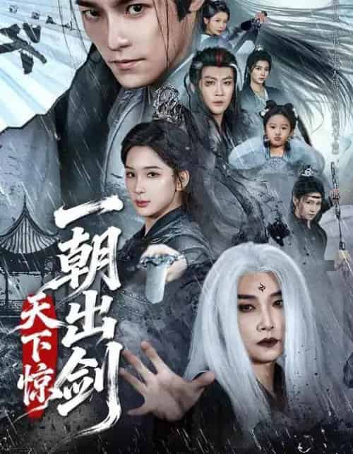 一朝出剑天下惊(79集全)王珞嘉&杨洁-搜外项目网