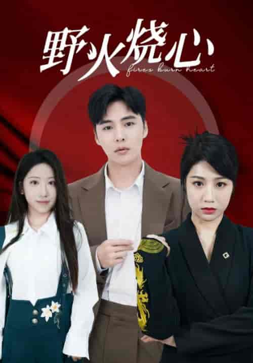 野火烧心（69集全）-搜外项目网