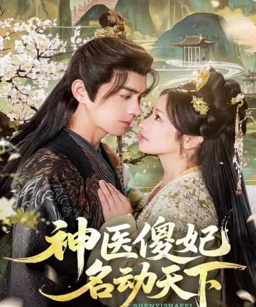 神医傻妃名动天下（80集全）王彦鑫＆伍姣-搜外项目网