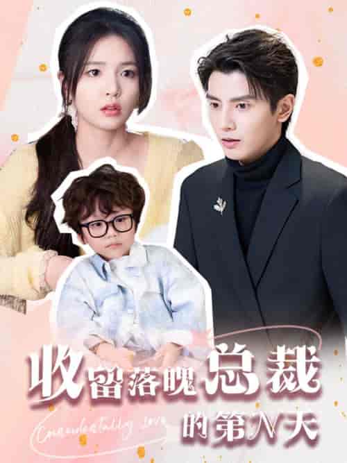 收留落魄总裁的第N天（60集全）何聪睿＆张许晗-搜外项目网