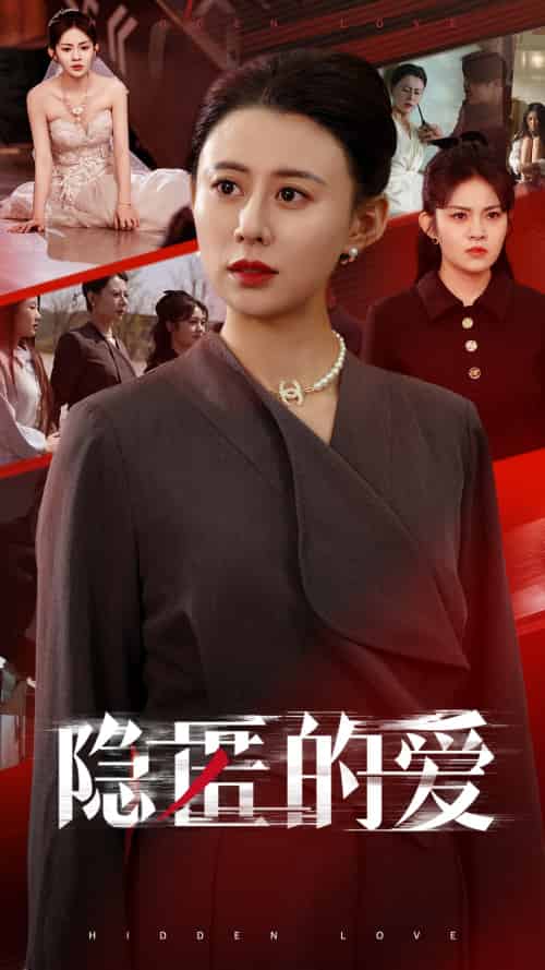隐匿的爱（42集）王欢欢-搜外项目网