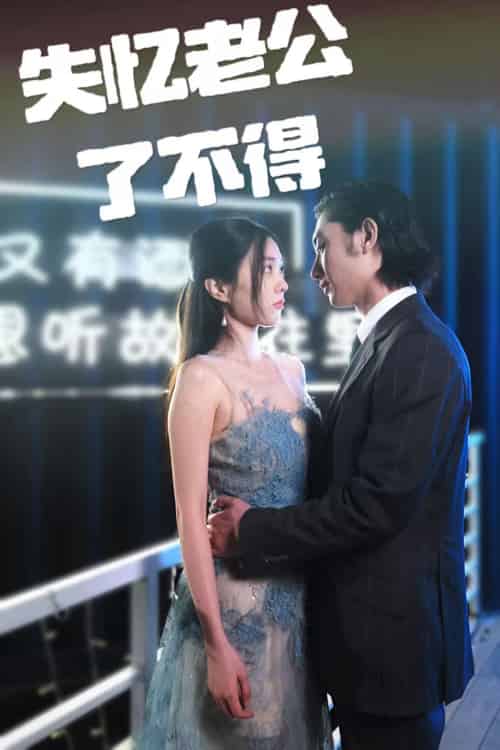 失忆老公了不得（35集）王俊人＆陈欣悦-搜外项目网