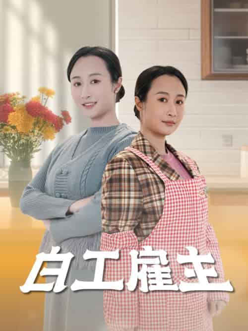 白工雇主(50集)卿苗-搜外项目网