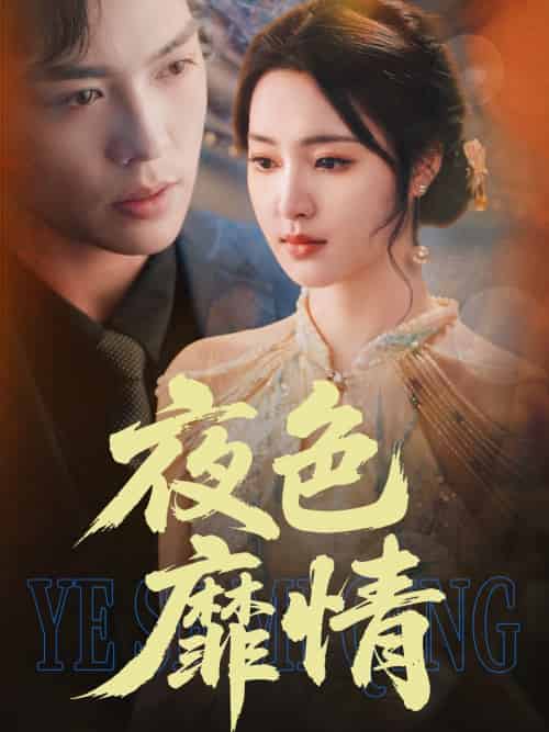 夜色靡情(62集)方正男&宋彧佳-搜外项目网