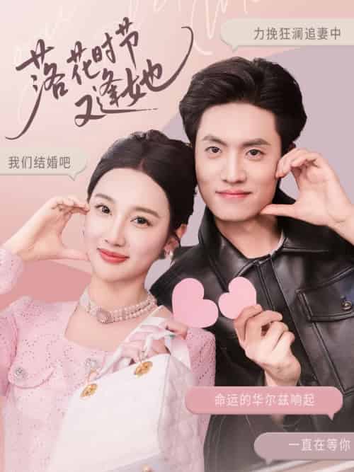 落花时节又逢她(59集)聂博宣&魏凡舒&杨桃-搜外项目网