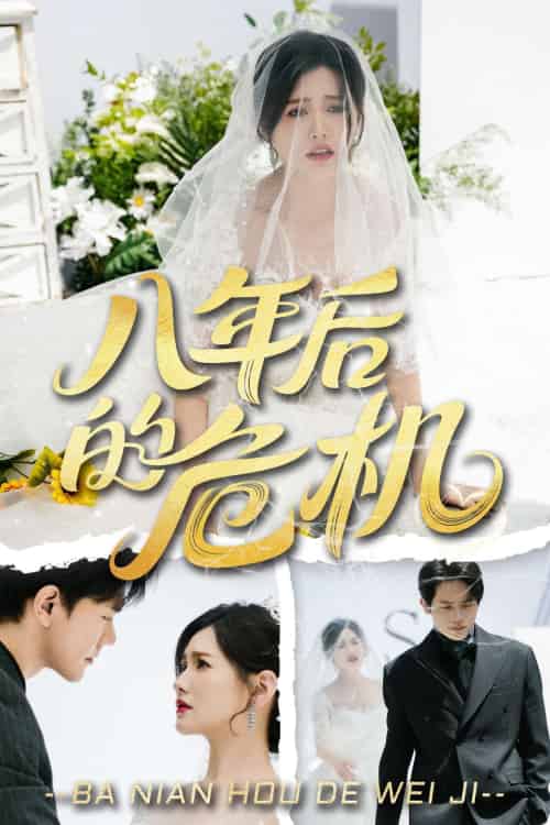 八年后的危机（35集）龙泽鸣＆赵黛楠-搜外项目网