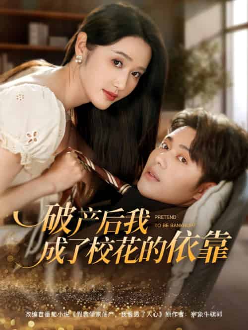破产后我成了校花的依靠（80集）韩一波＆刘雪莹-搜外项目网