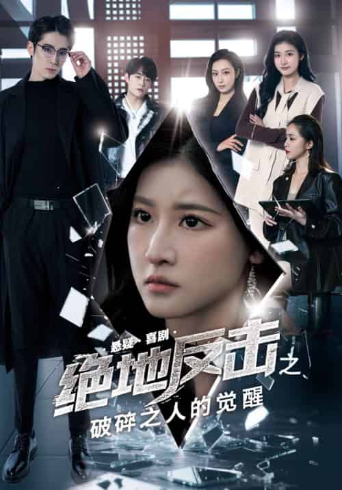 绝地反击之破碎之人的觉醒（30集）王如玮＆林枫松-搜外项目网