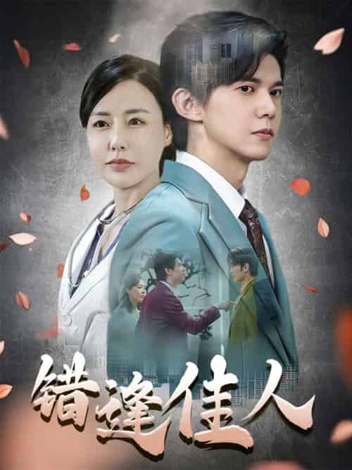 错逢佳人（42集）王夏桥-搜外项目网