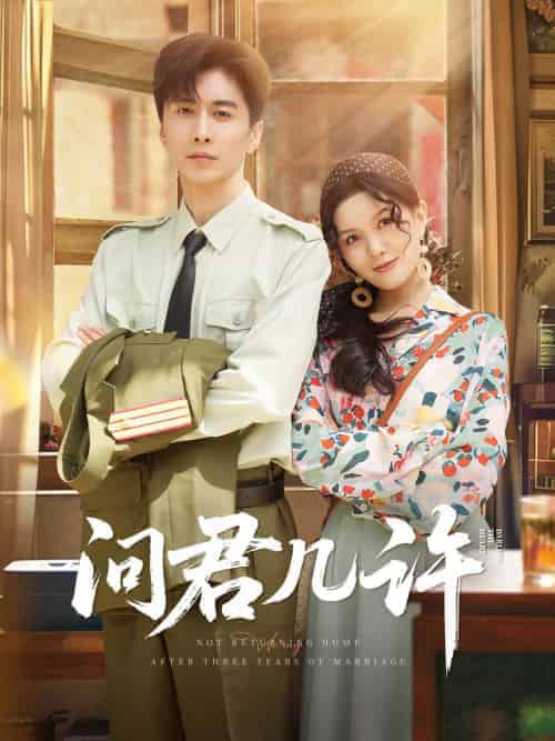 问君几许（91集）刘承林-搜外项目网