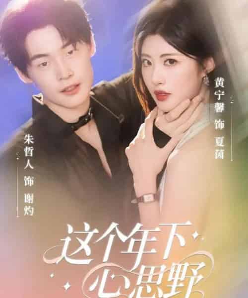 这个年下心思野（62集全）朱哲人＆黄宁馨-搜外项目网