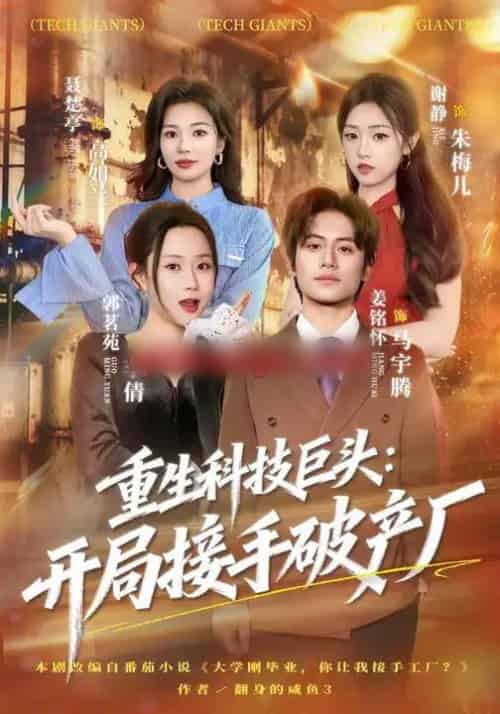 重生科技巨头:开局接手破产厂(79集全)郭茗苑&姜铭怀-搜外项目网