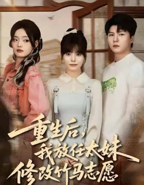 重生后，我放任太妹修改竹马志愿（60集全）王一晴＆王浩森-搜外项目网