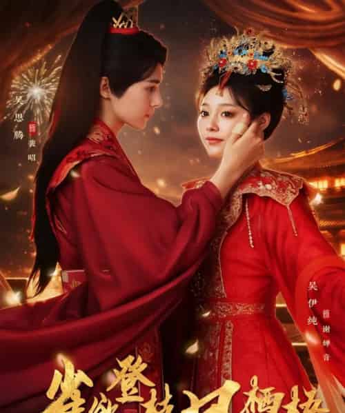 雀欲登枝凤栖梧（81集全）吴思腾＆吴伊纯-搜外项目网