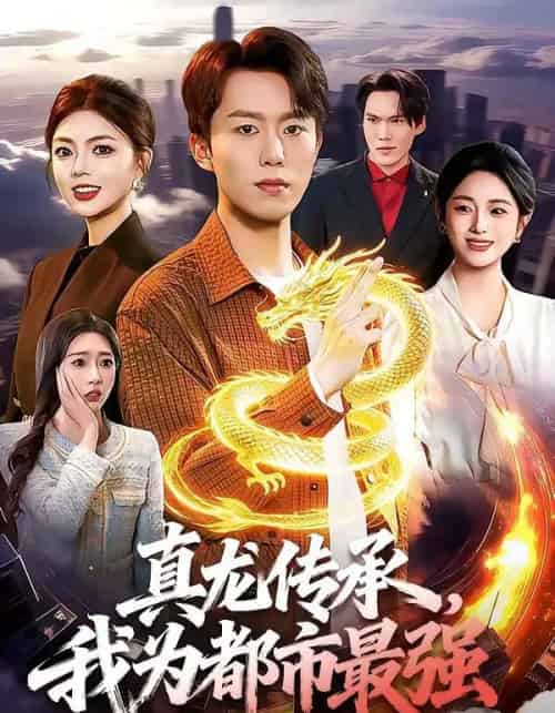 真龙传承,我为都市最强(103集全)赵书苑&邵迪-搜外项目网