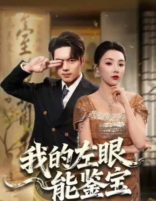 我的左眼能鉴宝（80集全）石靖怡＆韩一波-搜外项目网