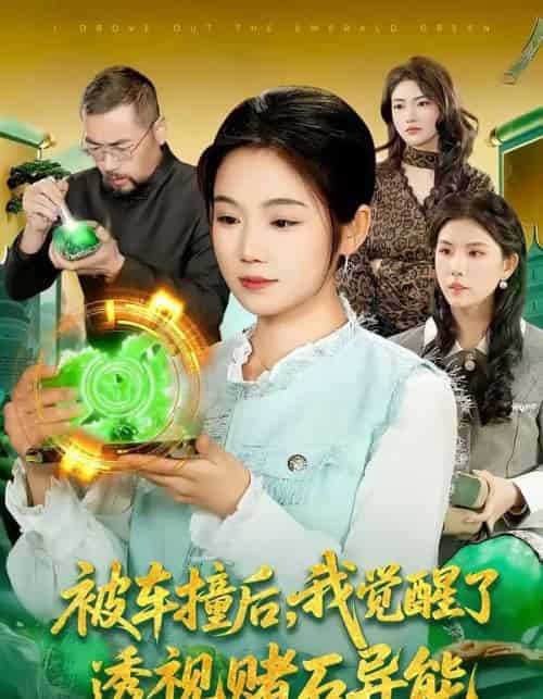 被车撞后，我觉醒了透视赌石异能了（83集全）攸灵＆大飞-搜外项目网