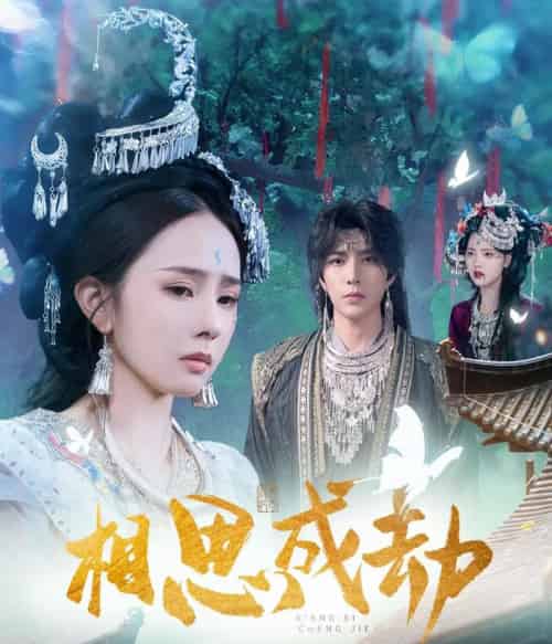 相思成劫（51集全）翟成露＆李柏言-搜外项目网