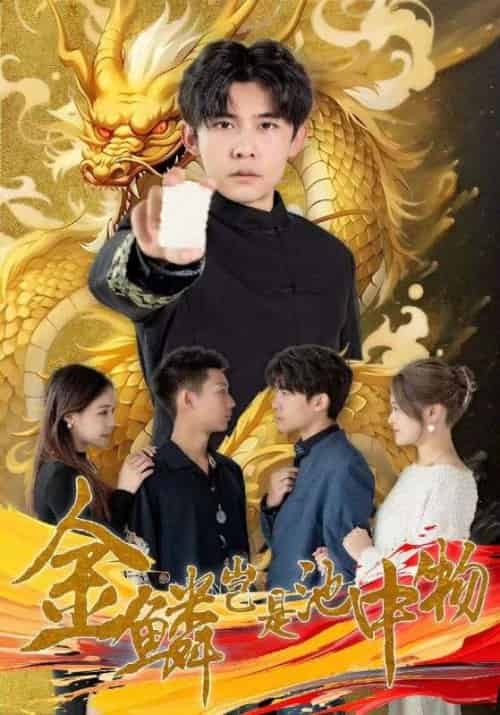 金鳞岂是池中物（100集全）齐轩＆潘悦然-搜外项目网