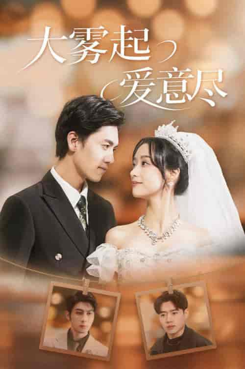 大雾起爱意尽（39集全）聂博宣＆王小亿＆王子林-搜外项目网