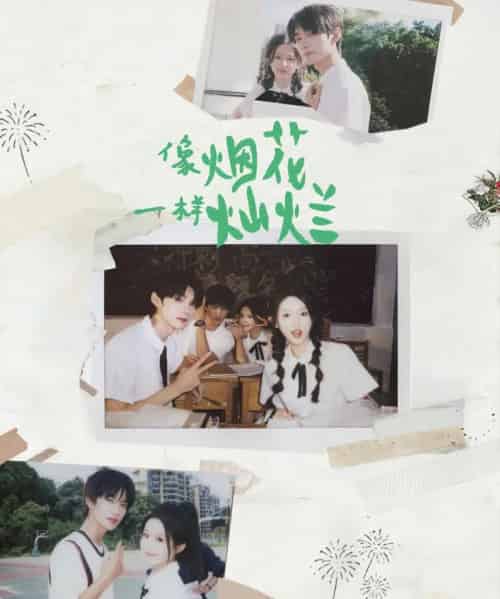 像烟花一样灿烂(60集全)王译磊&张翅&李柯以&余茵-搜外项目网