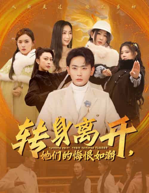 转身离开她们的悔恨如潮（60集全）宣以豪＆耿池苏＆王妍-搜外项目网