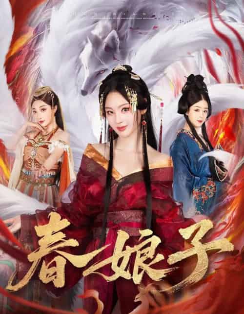 春娘子（60集全）思璟＆毛航七＆张棠-搜外项目网