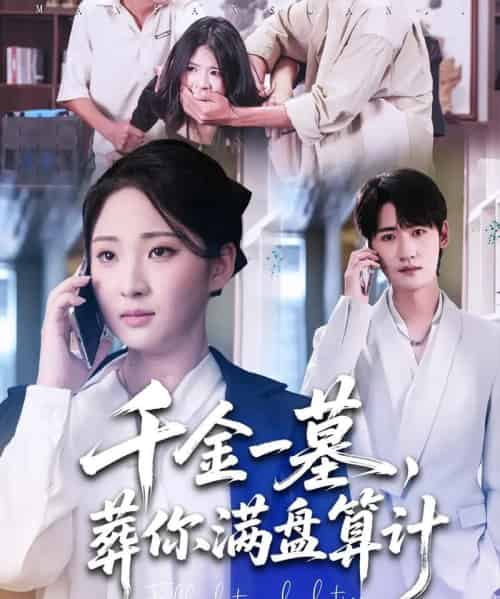 千金一墓，葬你满盘算计（30集全）高铭远＆方雪婷-搜外项目网