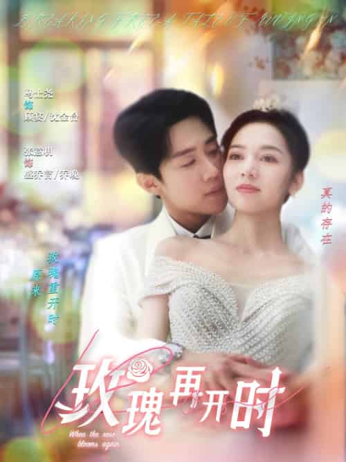 玫瑰再开时（59集）马士尧＆张意枂-搜外项目网