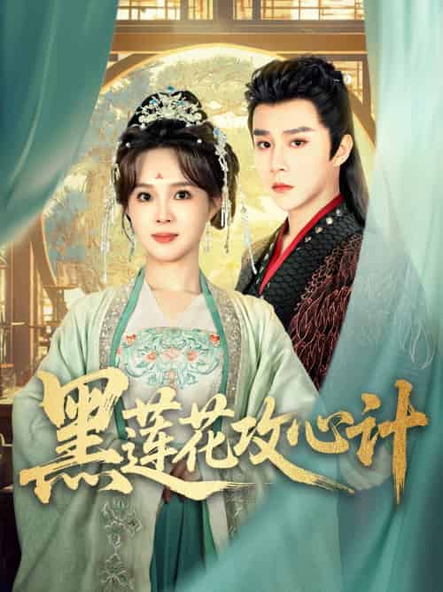 黑莲花攻心计(95集)权裴伦&张东梓-搜外项目网