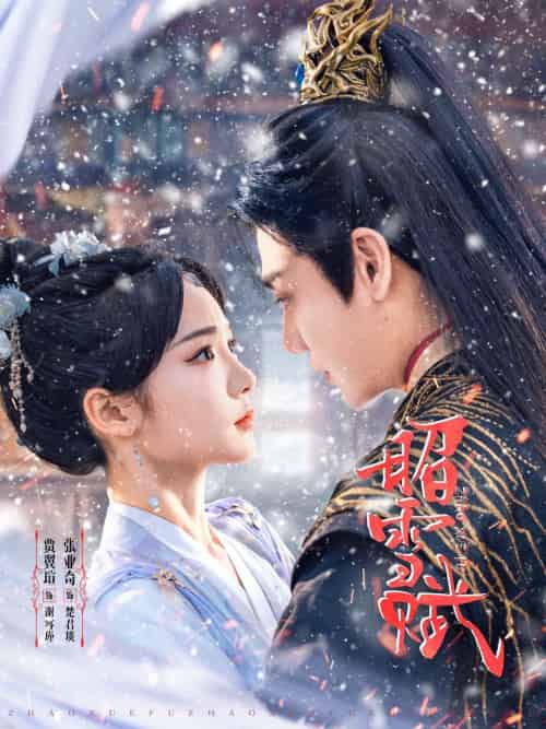 昭雪赋（61集）贾翼瑄＆张亚奇-搜外项目网