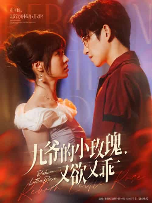 九爷的小玫瑰又欲又乖（80集）林可汉＆陆元-搜外项目网