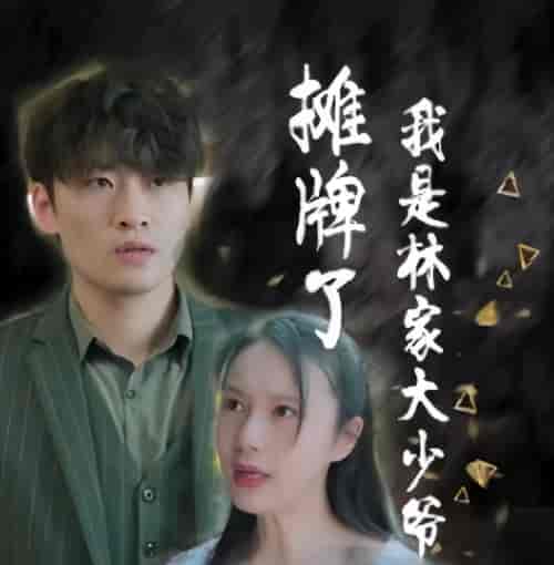 摊牌了，我是林家大少爷（新：医仙神婿）（102集）-搜外项目网