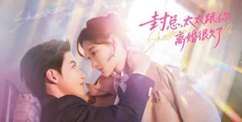 封总，太太跟你离婚很久了（70集全）徐凯鑫＆李羽桐-搜外项目网