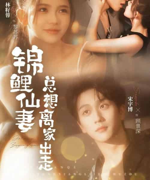 锦鲤仙妻总想离家出走（64集全）林籽蓉＆宋宇博-搜外项目网