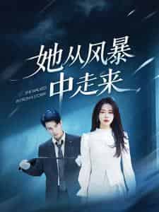 她从风暴中走来（60集）孙博文＆路文卓-搜外项目网