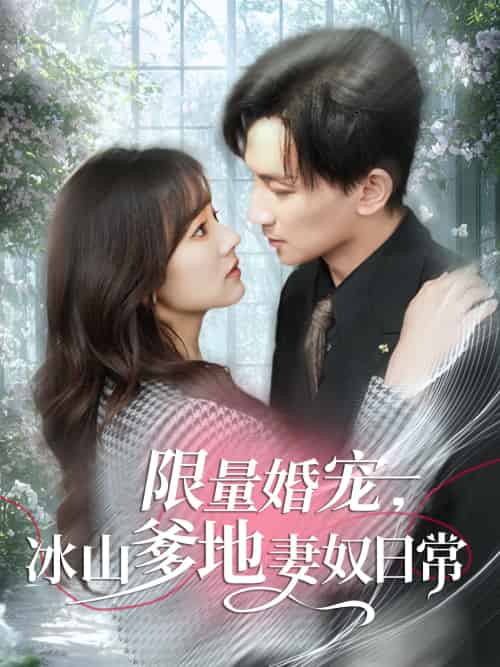 限量婚宠，冰山爹地妻奴日常（80集）王康＆王子怡-搜外项目网